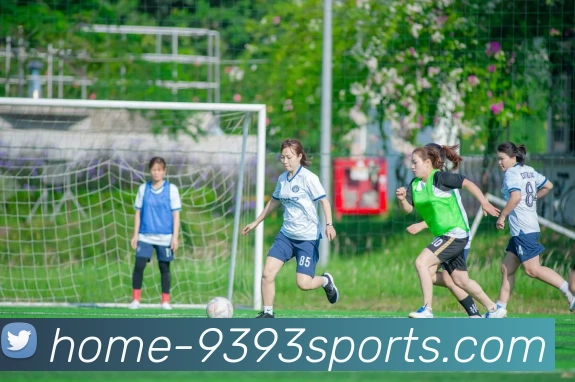 多媒体互动体验